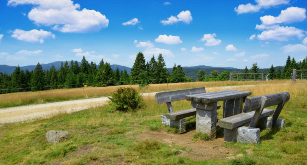 Nationalpark Bayerischer Wald_AdobeStock_360382068